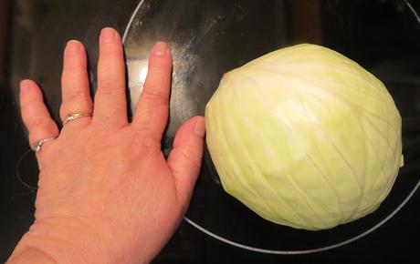 size of cabbage