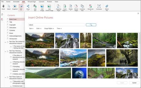 Fetch and insert online pictures