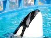 Lolita Release After Years