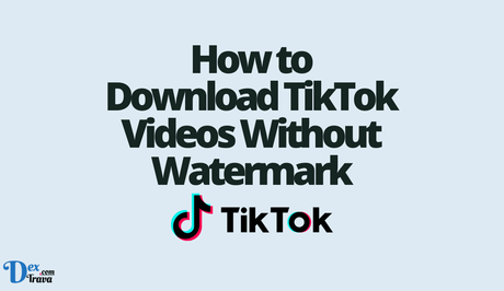 How to Download TikTok Videos Without Watermark