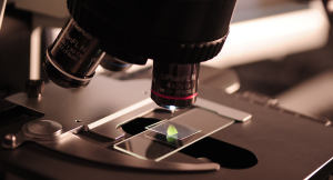 WHY IS CBD SO POPULAR?