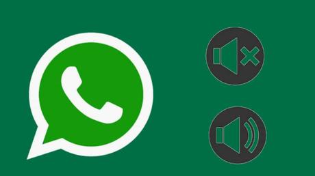 Mute a WhatsApp Chat