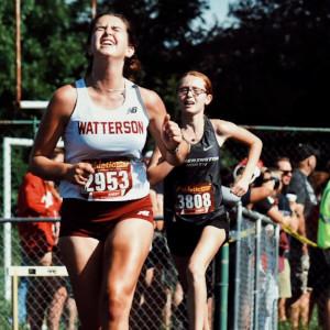 High-energy aesthetic workout playlist covers for Spotify (Under Free Licenses)