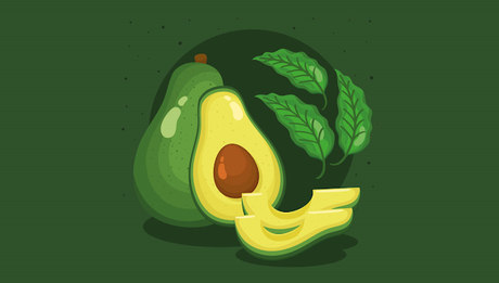 130+ Best Avocado Puns Jokes That Make You Giggle