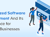 What Custom Software Development Importance