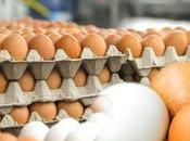 Raids Conducted, Traders Fined Rs.900,000