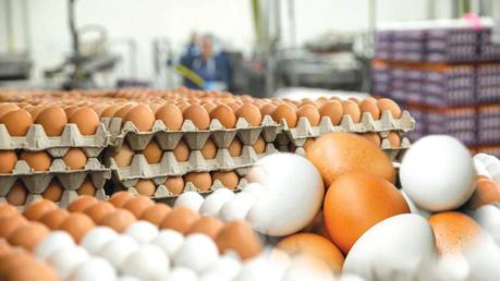 CAA raids conducted, egg traders fined Rs.900,000