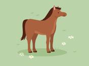 Funny Horse Puns Jokes That Cheer Your