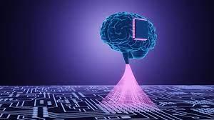 Review Biocomputres VS Quantum Computing