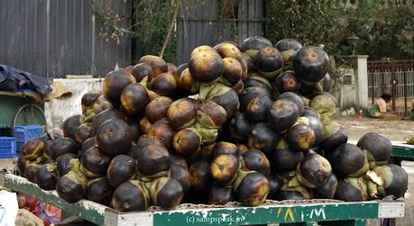 keep cool !!  - A midsummer night's dream !!