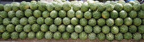 keep cool !!  - A midsummer night's dream !!