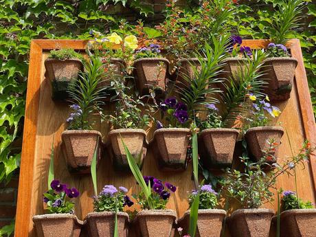 7 Amazing Ways to Maximize Your Garden Space