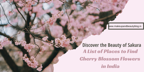 Discover the Beauty of Sakura: A List of Places to Find Cherry Blossom Flowers in India