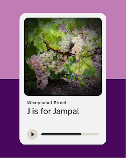 The Unique and Rare Jampal Grape: Exploring Portugal's Hidden Gem
