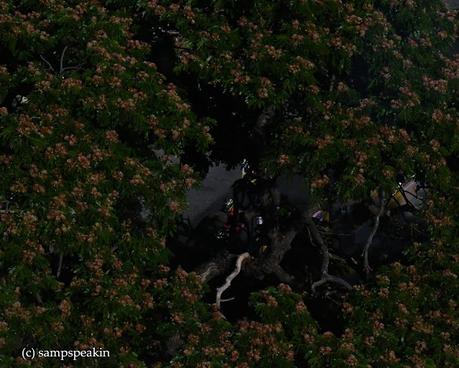 Interacting with people !! - தனி ஒருவன் !! Interacting with people !! - தனி ஒருவன் !!