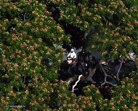 Interacting with people !! - தனி ஒருவன் !! Interacting with people !! - தனி ஒருவன் !!