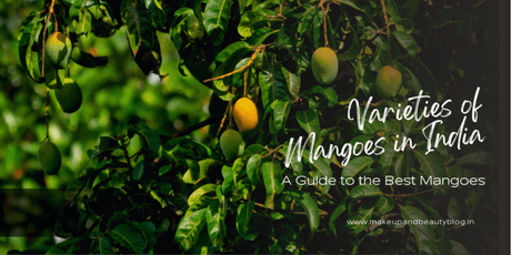 Varieties of Mangoes in India: A Guide to the Best Mangoes