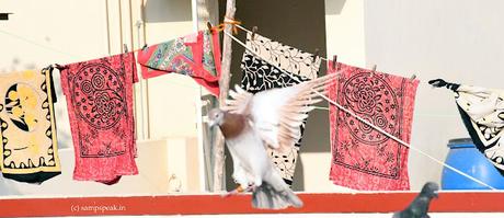 Foci !!  - what ?!? – multi-tasking !!