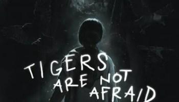 The Paper Tigers (2020) Movie Review