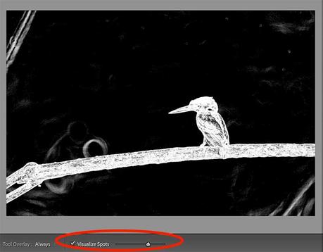 Visualize Spots to Find Dust Spots in Lightroom