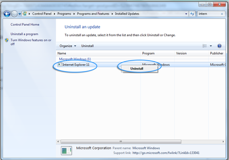 downgrade-ie-11-to-9