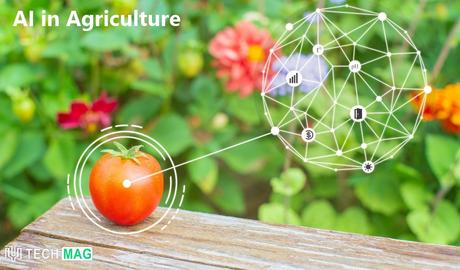 7 Surprising Applications of Artificial Intelligence 2023