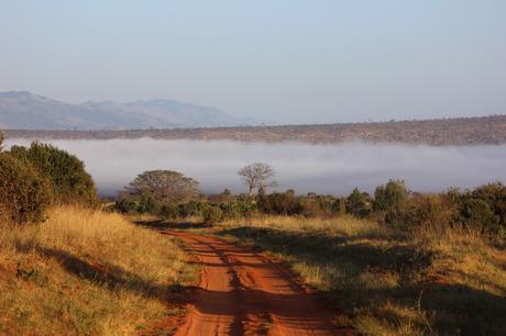 Dirt-road-with-red-soil-in-kenya