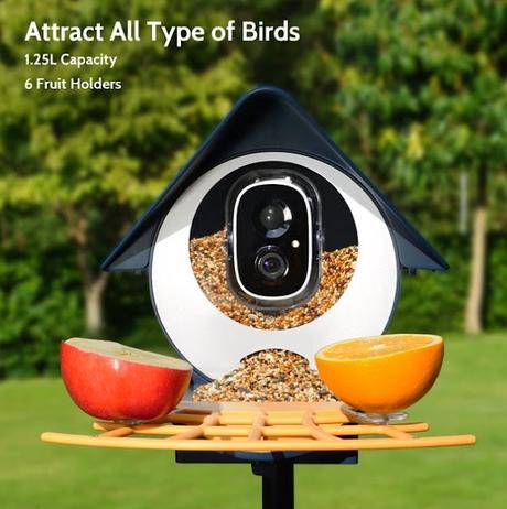 SAVE - Smart Bird Feeder with Camera