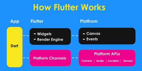 How to Work Flutter: A Complete Guide