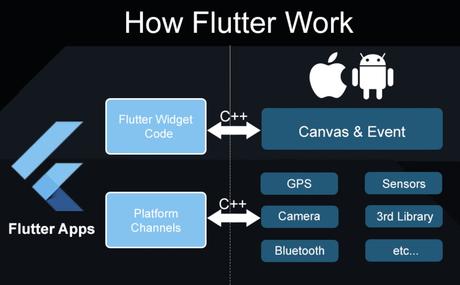 How to Work Flutter: A Complete Guide