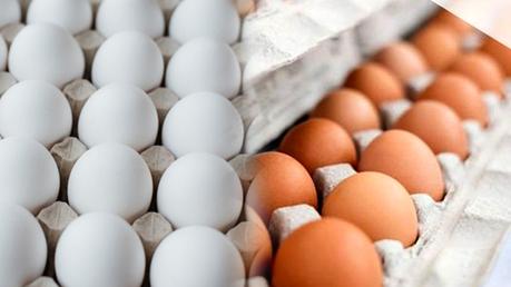 Maximum retail price of eggs set at rupees 44