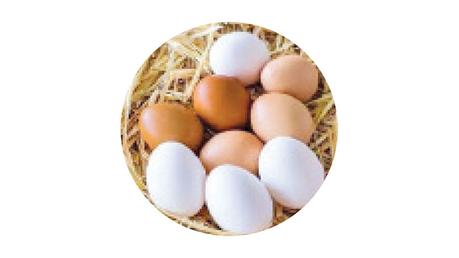 Gazette notice to sell eggs by the weight from today