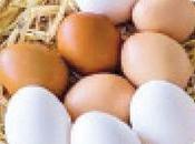 Gazette Notice Sell Eggs Weight from Today