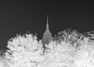 Some varieties of the Empire State Building