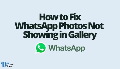 How to Fix WhatsApp Photos Not Showing in Gallery