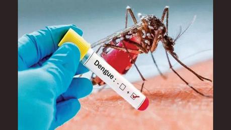 63% increase in dengue case numbers