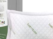 Shredded Memory Foam Pillows: Clean Care