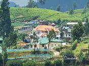 Regulation Construction Buildings Nuwara Eliya