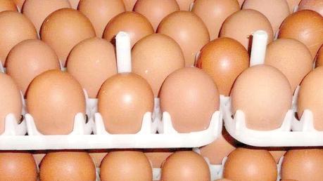 Distribution of imported eggs only in Western Province – STC Chairman