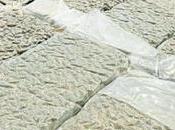 Kush Worth Rs.84 Found from Canadian Cargo Boxes