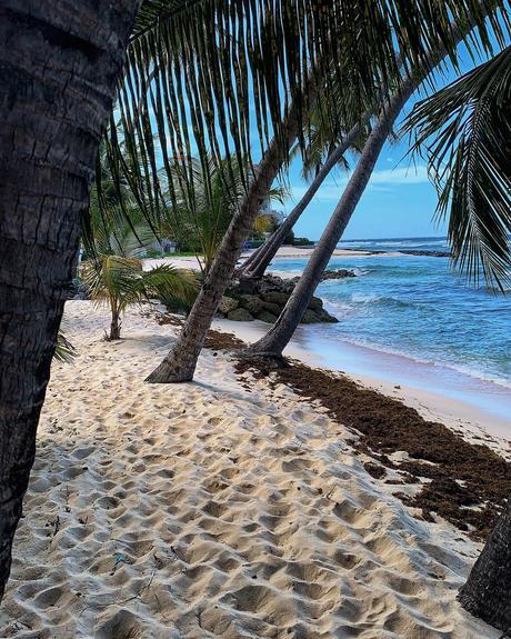 best caribbean island for honeymoon barbados