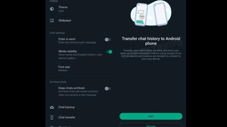 WhatsApp Chat Transfer
