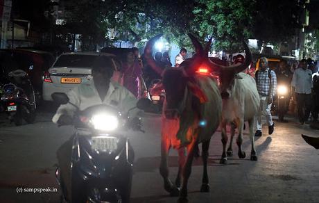 art of living-together