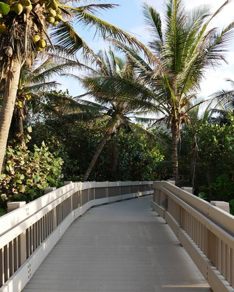 10 Best Florida Honeymoon Resorts + FAQs