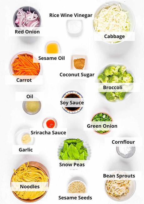 Vegan Chow Mein Vegan Chow Mein