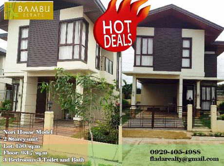 nori house model bambu estate davao