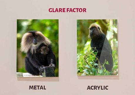 Glare Factor-Metal Vs Acrylic Prints