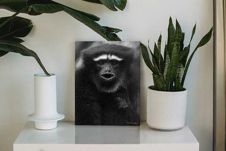 Metal Print as Table Decor