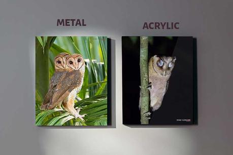 Acrylic Vs Metal Prints Appearance