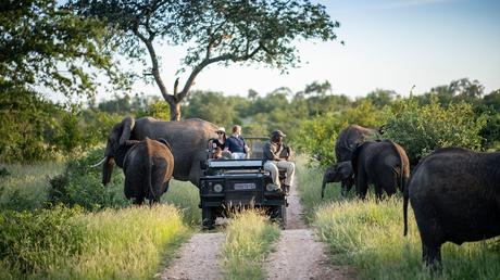 Kruger National Park, South Africa